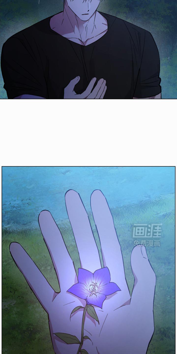 第121章：尽情的哭吧