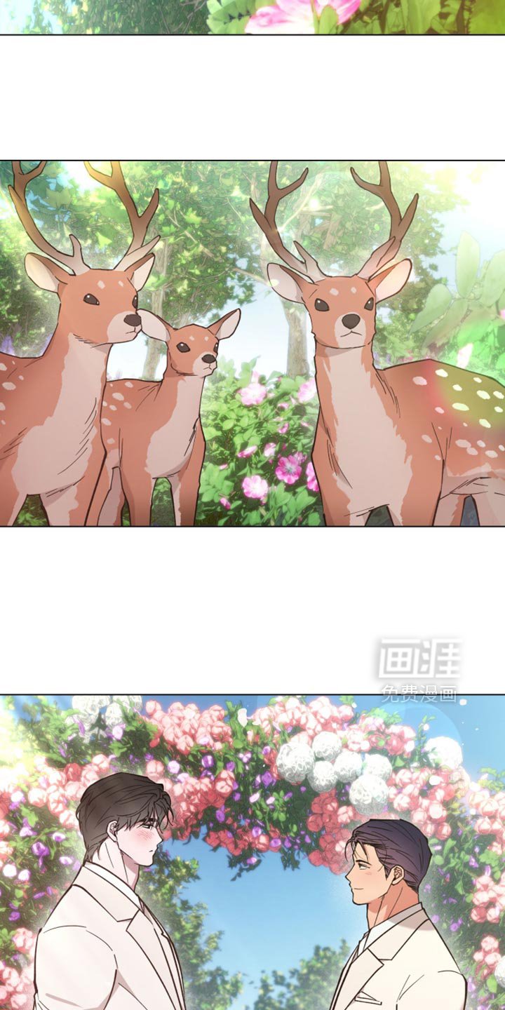 第131章：结婚