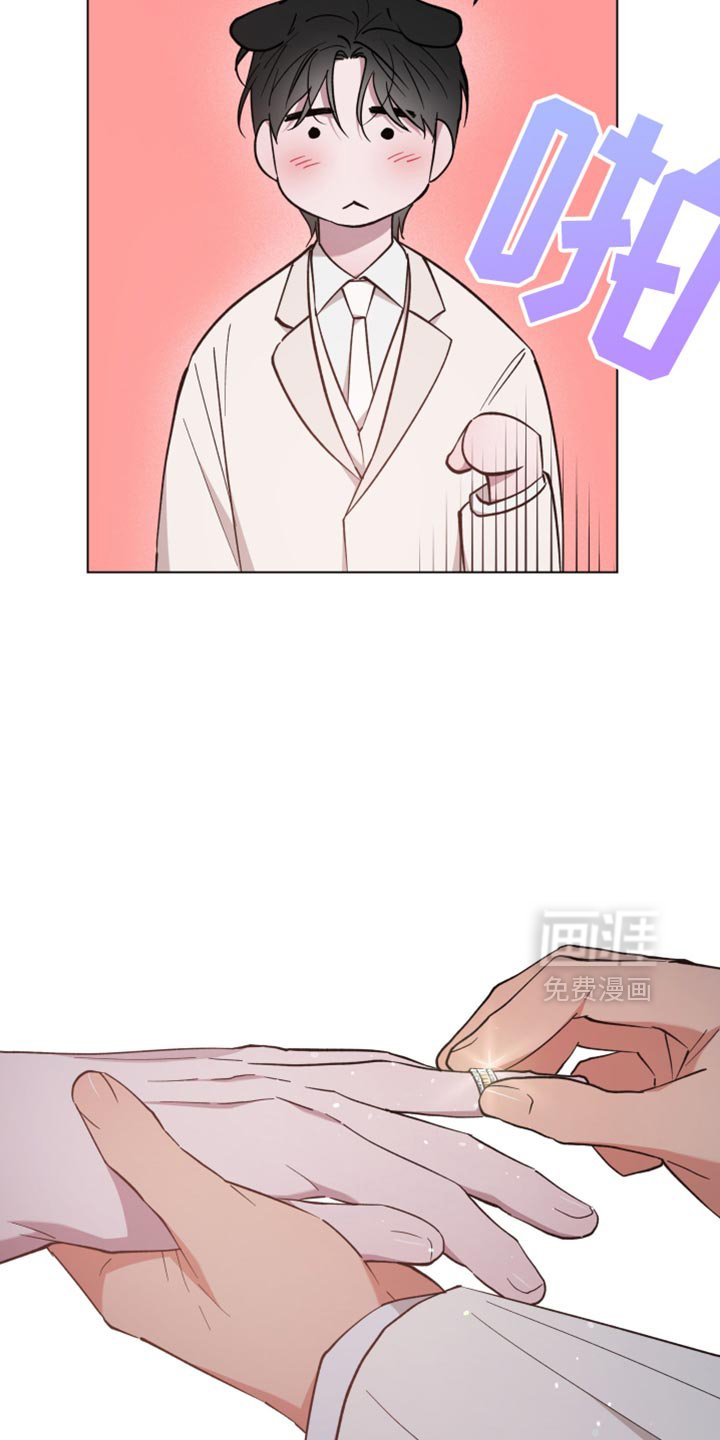 第131章：结婚