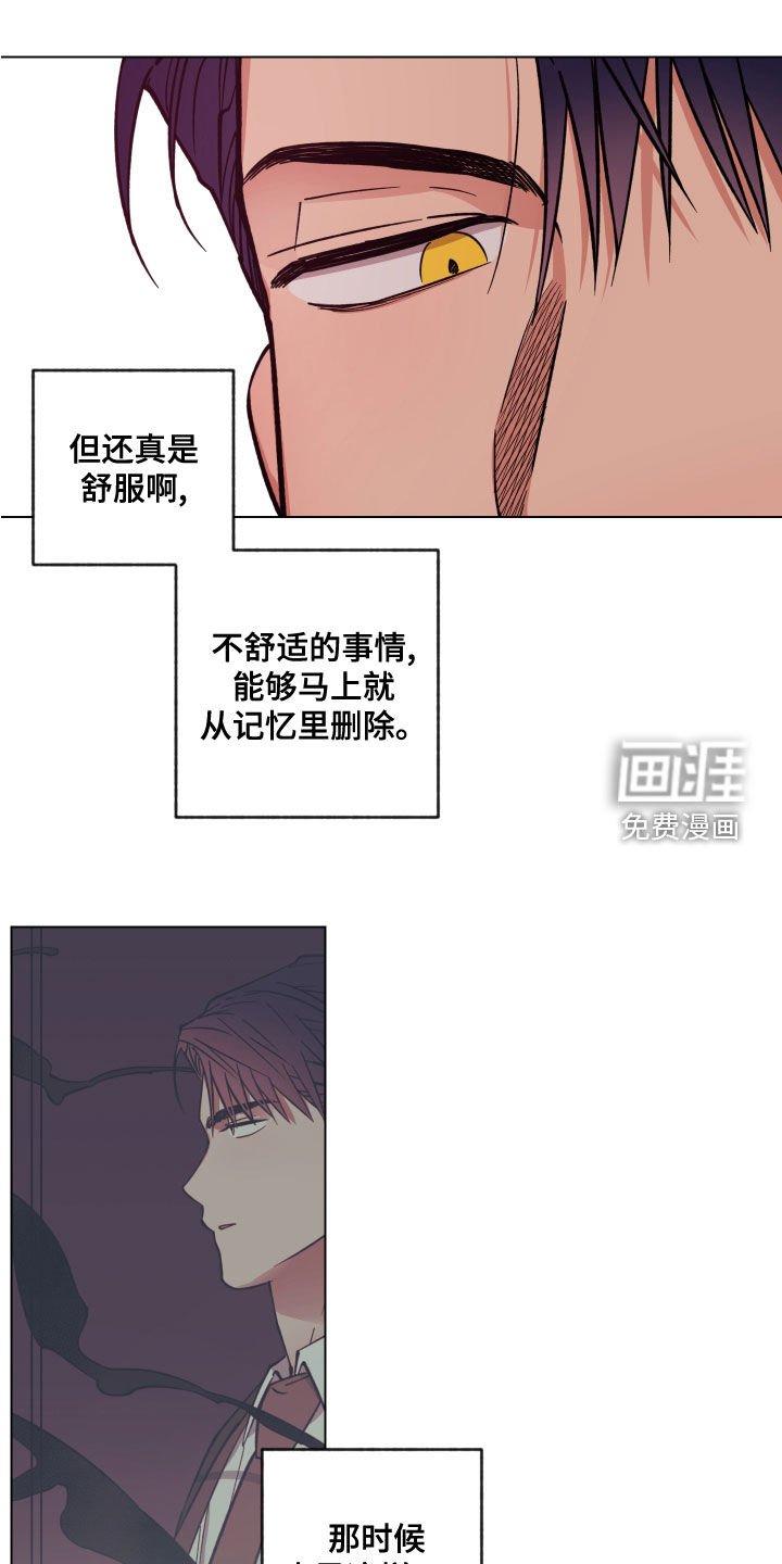 第16章：不记得了