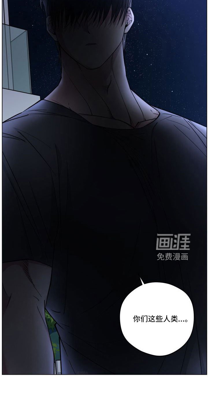 第35章：坦白