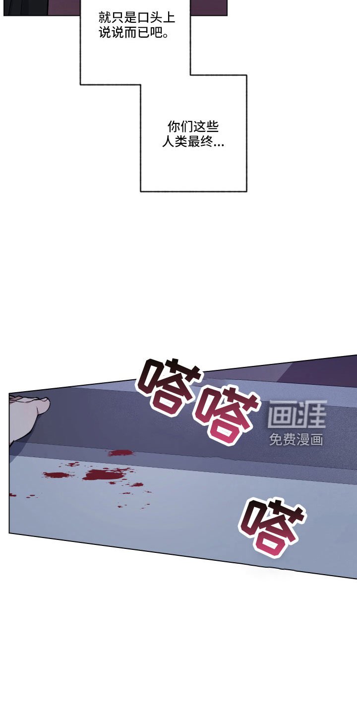 第37章：又做错什么了