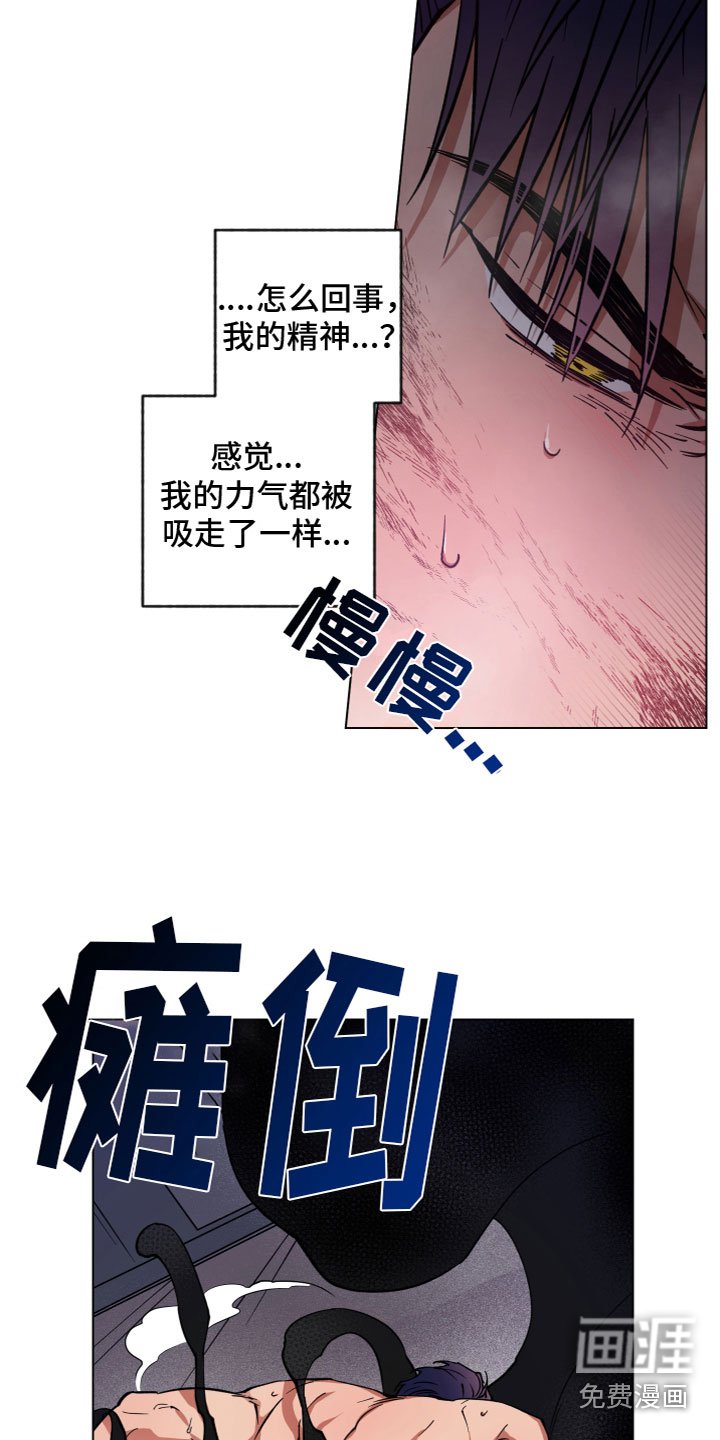 第5章：出现