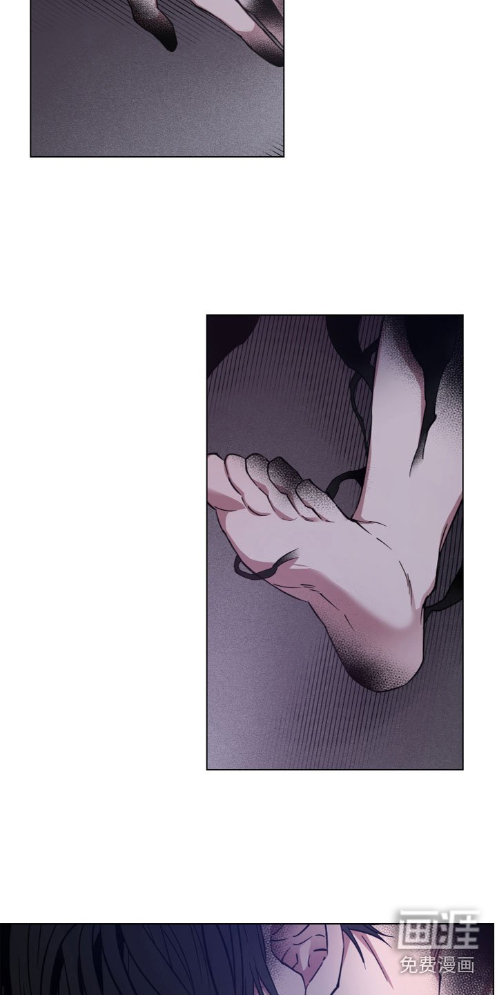 第5章：出现