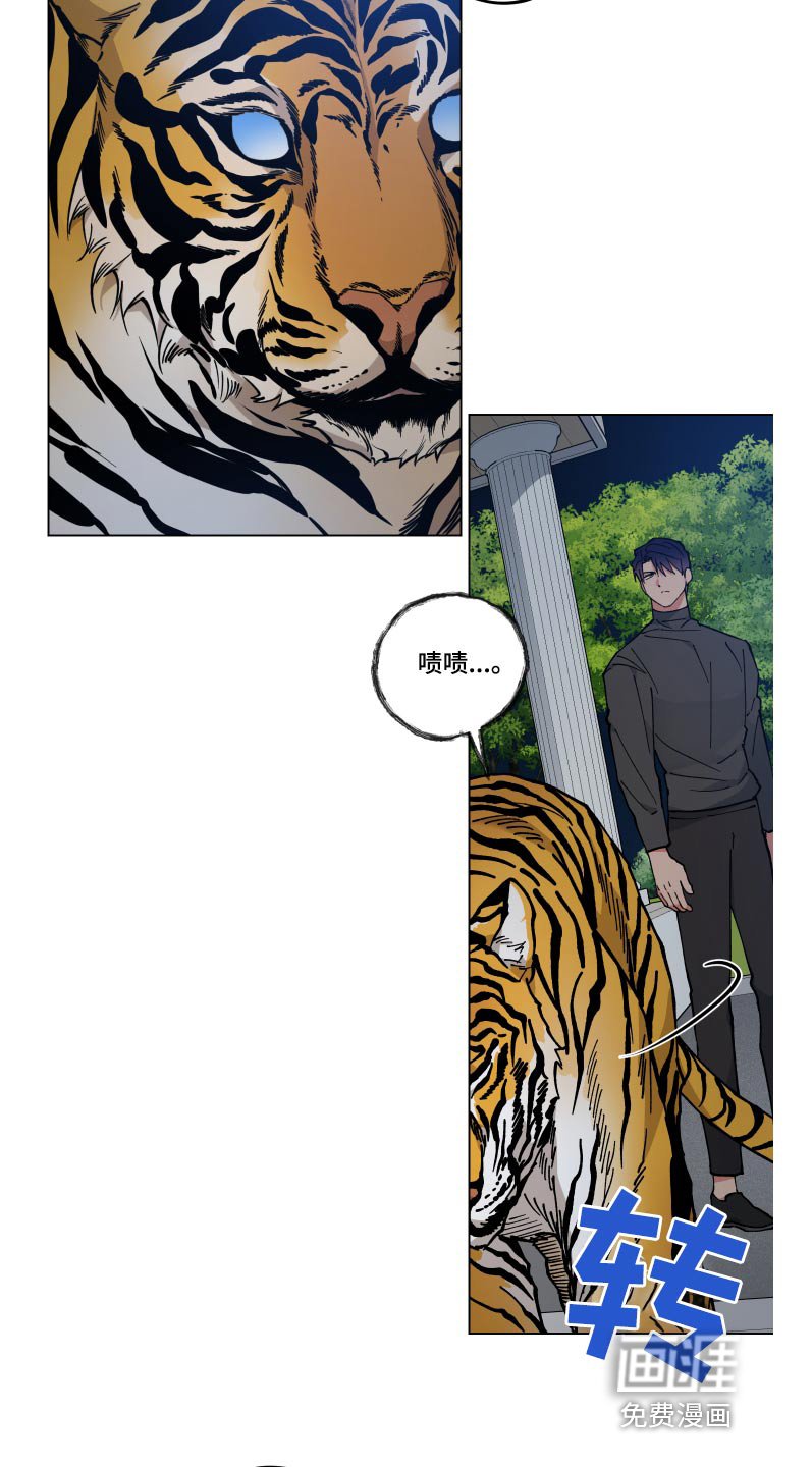 第51章：病情