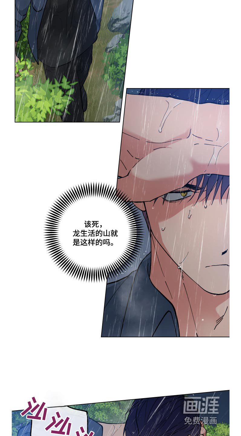 第52章：死路