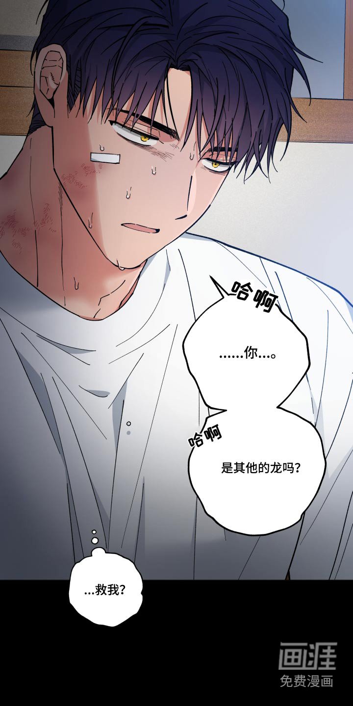 第54章：怎么回事