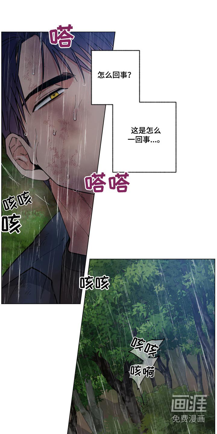 第54章：怎么回事