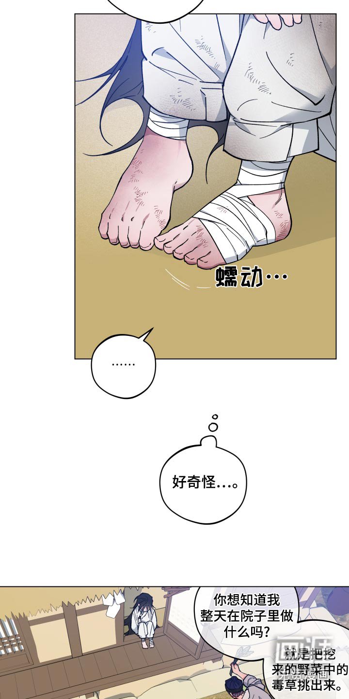 第63章：稳定