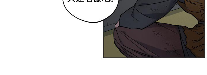 第65章：强盗