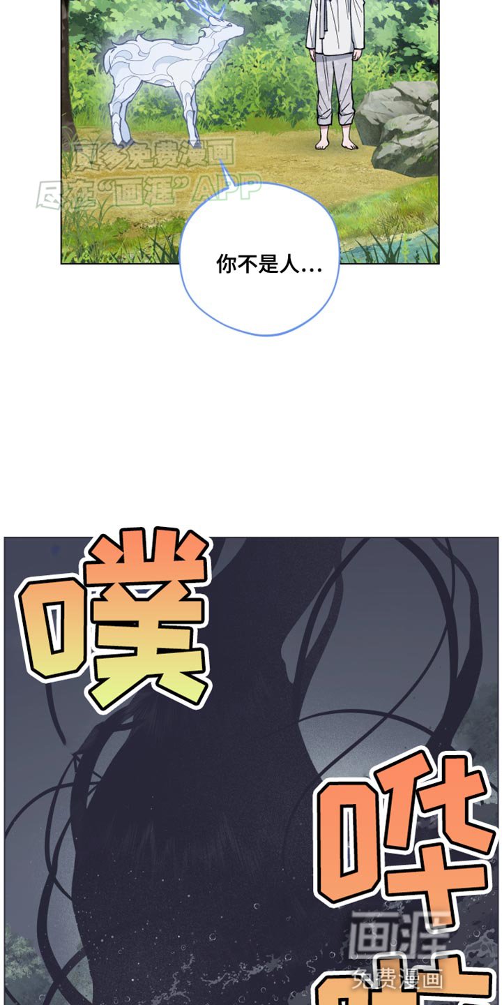第71章：你是龙