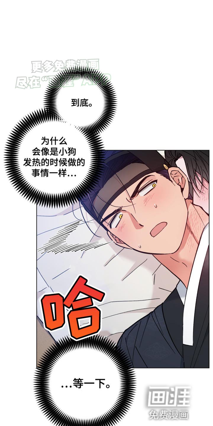 第77章：我爱慕你