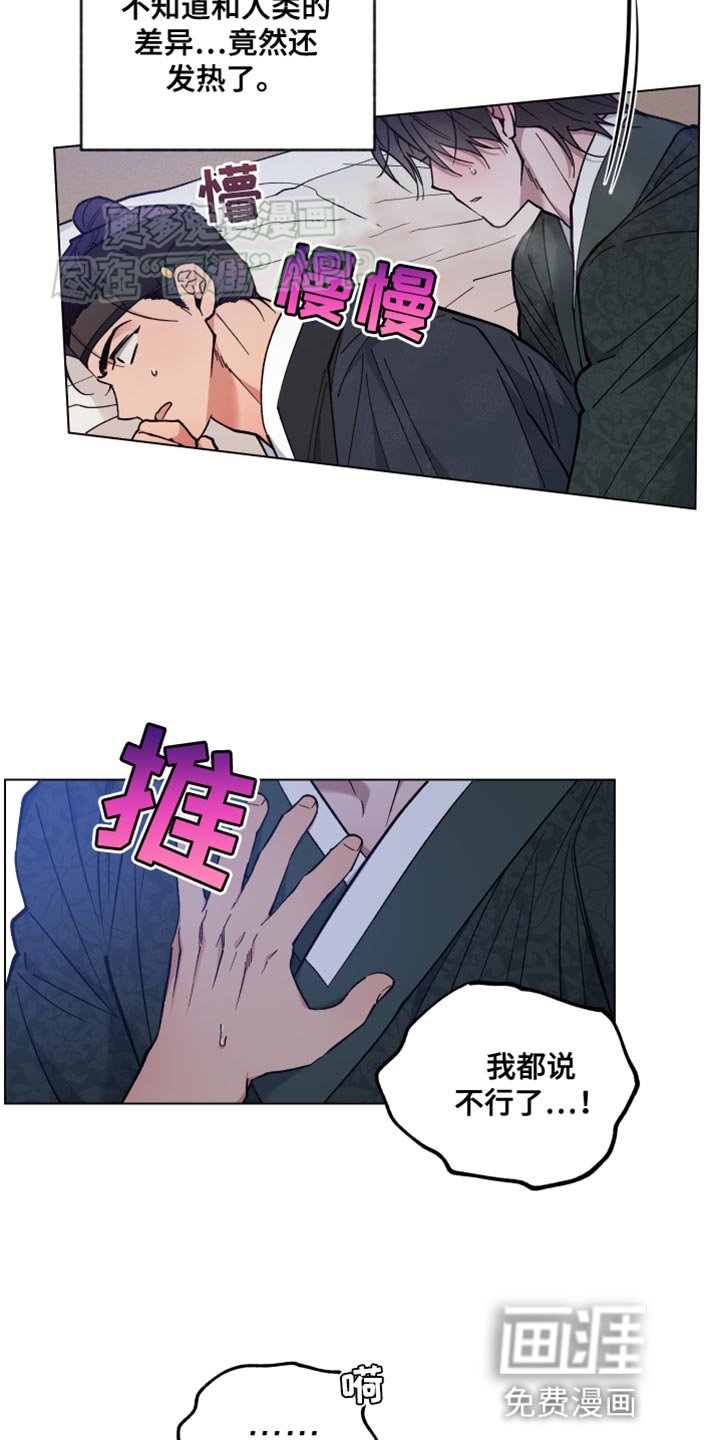 第77章：我爱慕你