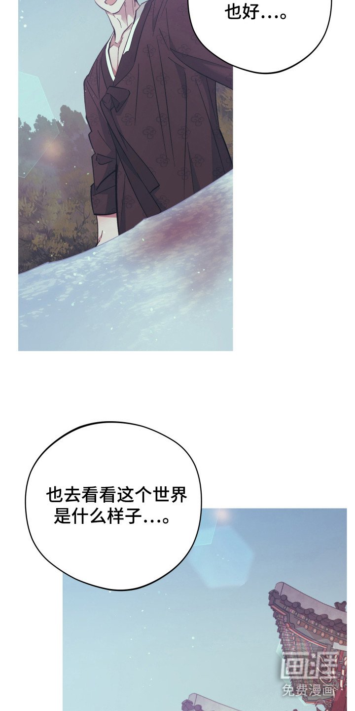 第96章：遗愿