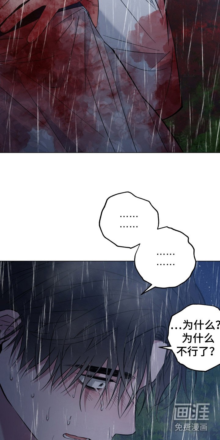 第96章：遗愿