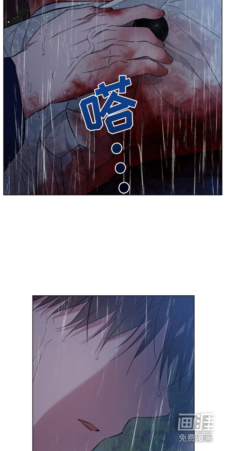 第96章：遗愿