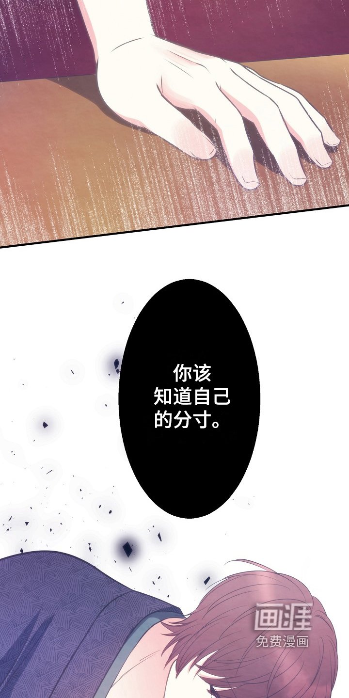 第14章：道歉
