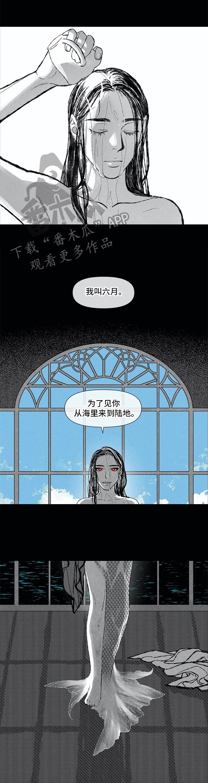 第4章：不分开