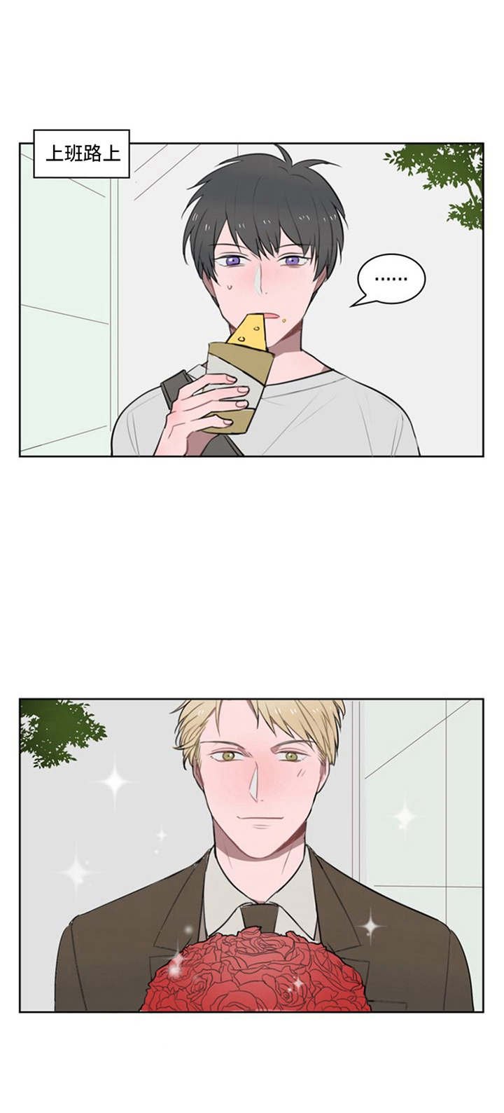 第11章：鲜花