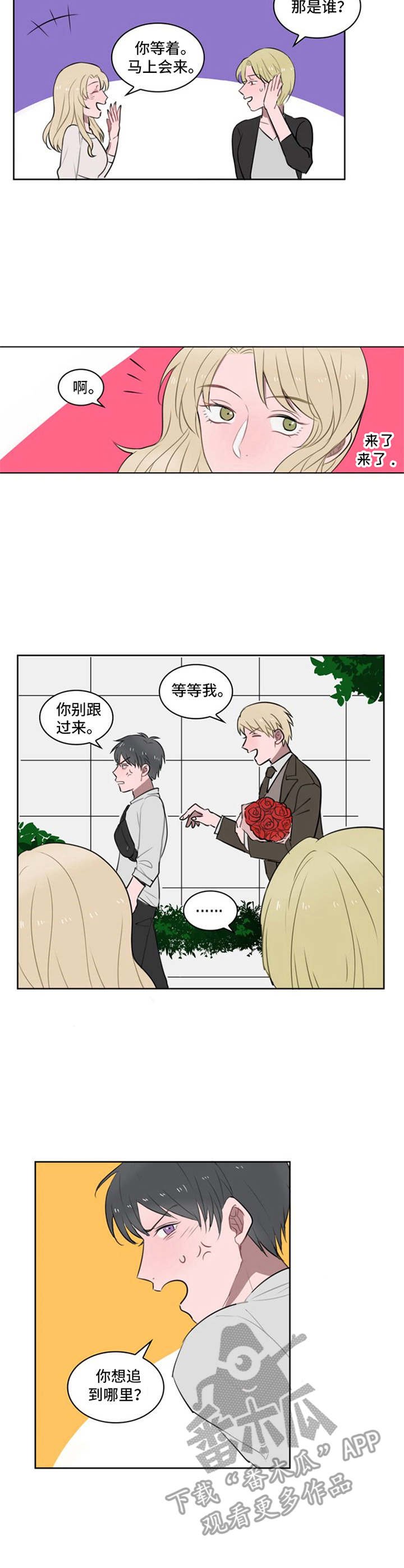 第11章：鲜花