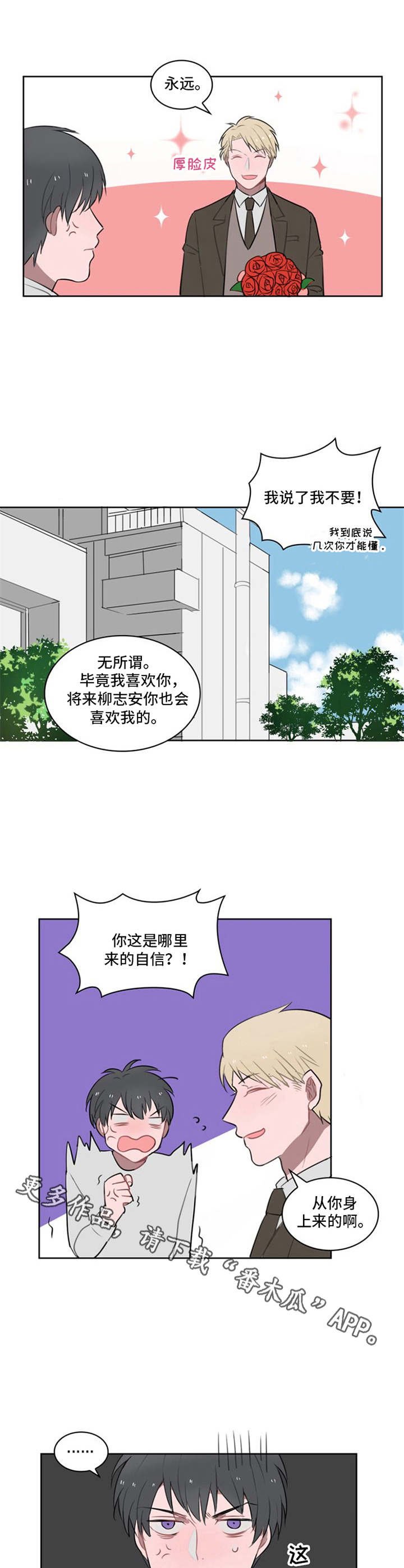 第11章：鲜花