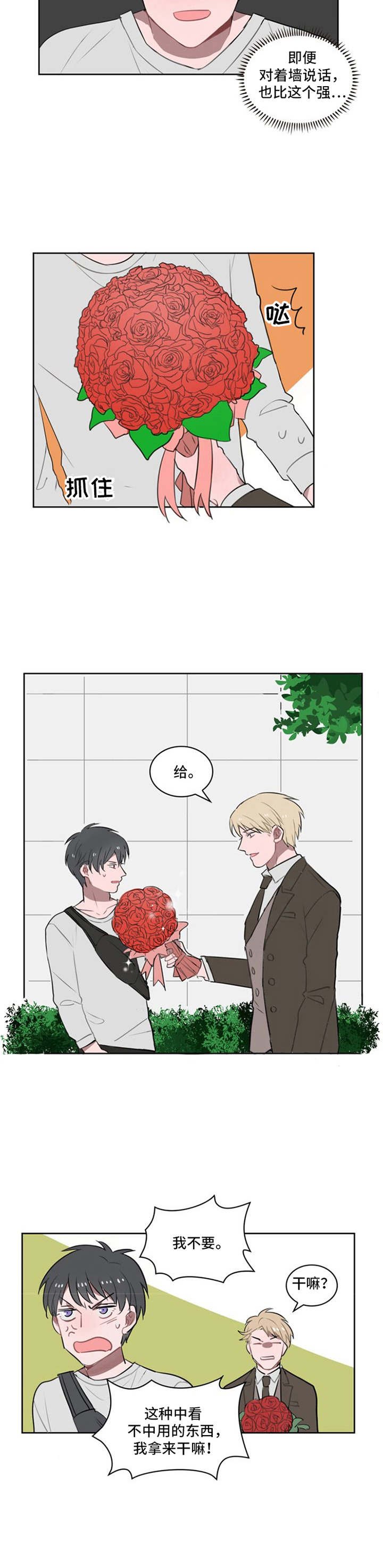 第11章：鲜花