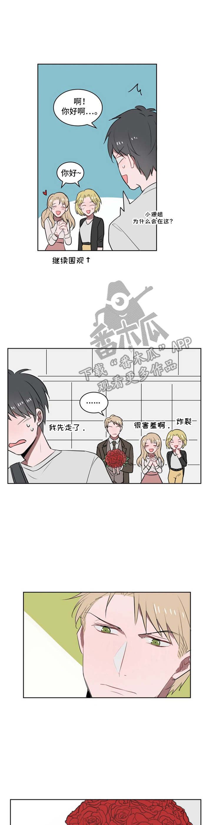 第11章：鲜花