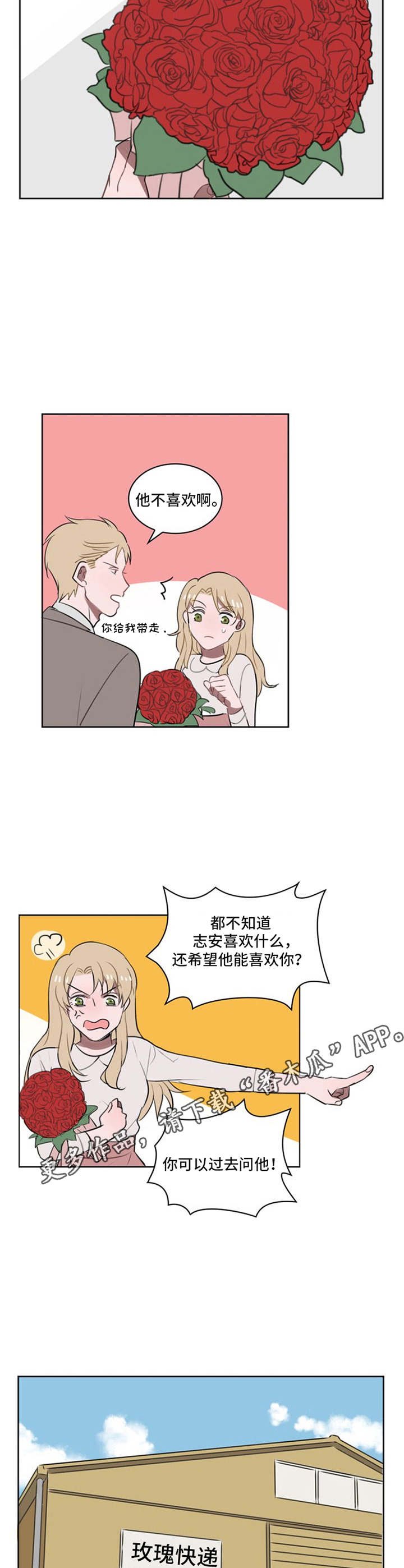 第11章：鲜花