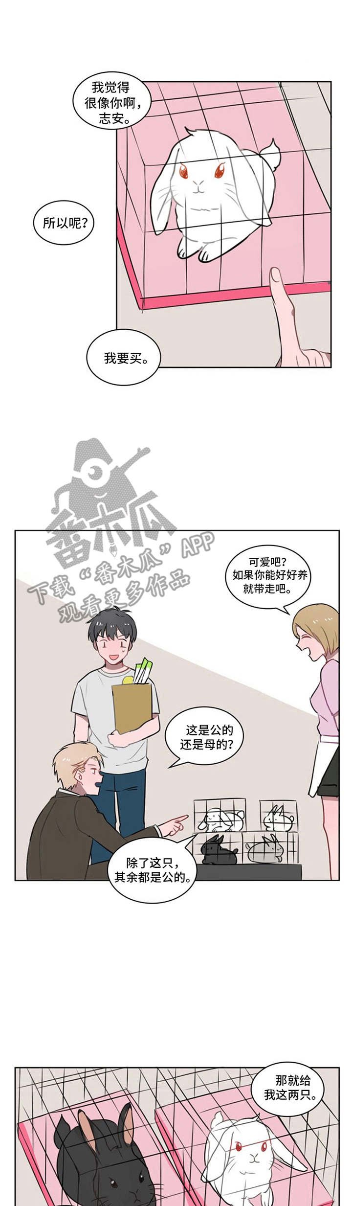 第13章：好感上升