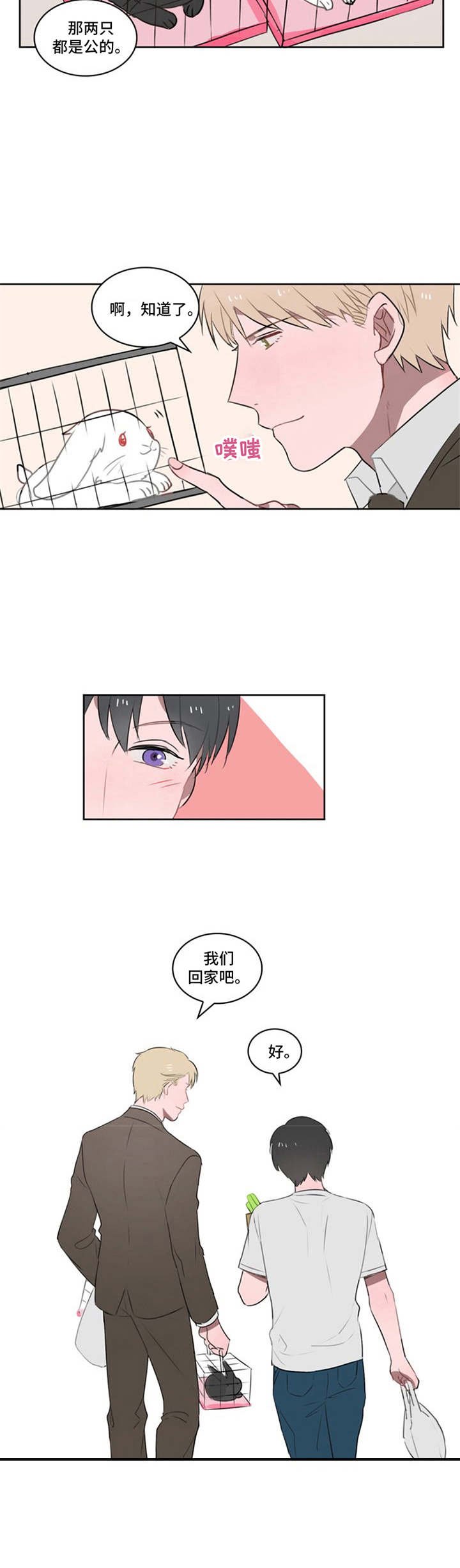 第13章：好感上升