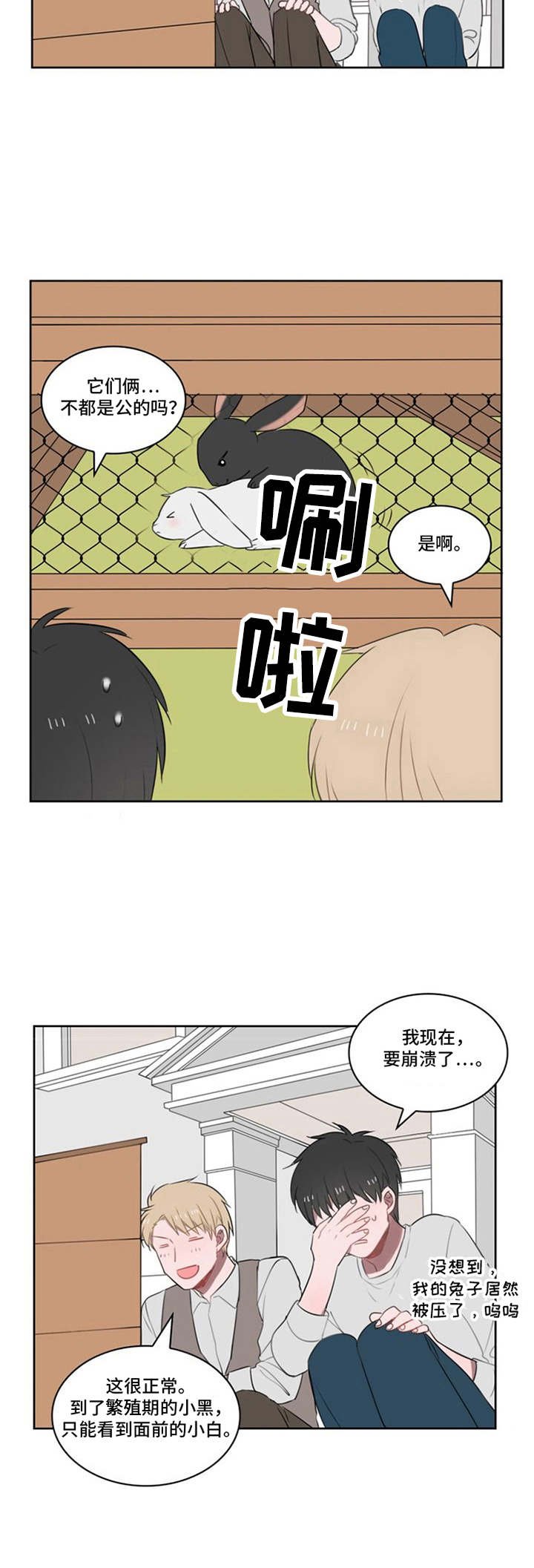 第18章：小黑小白（完结）