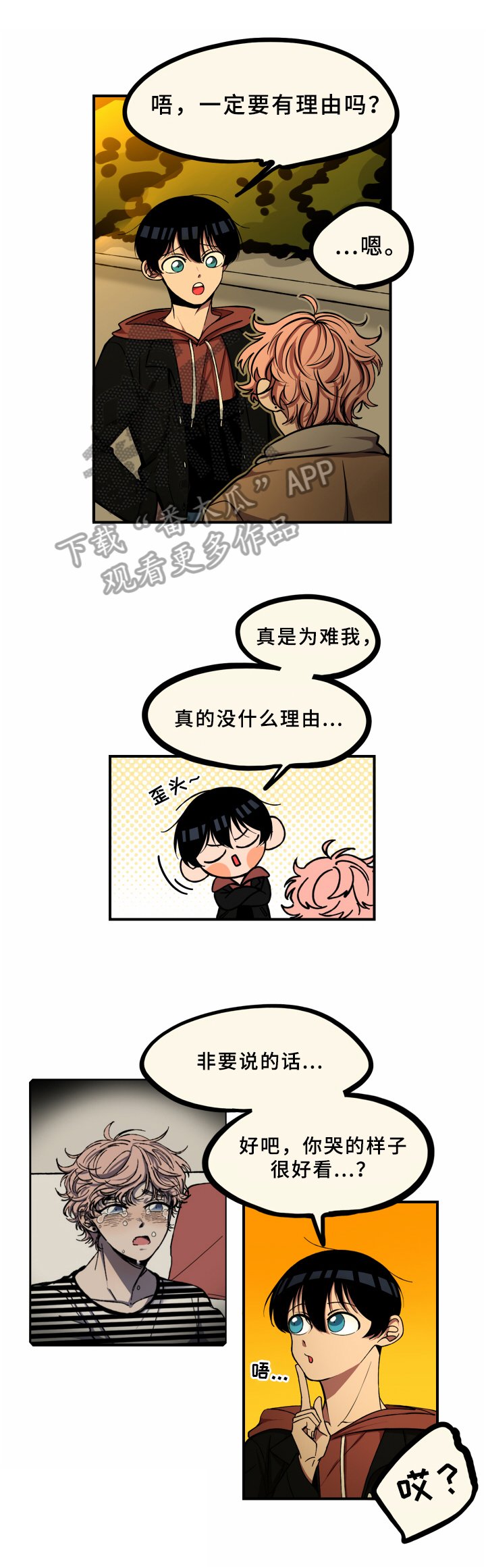 第15章：理由