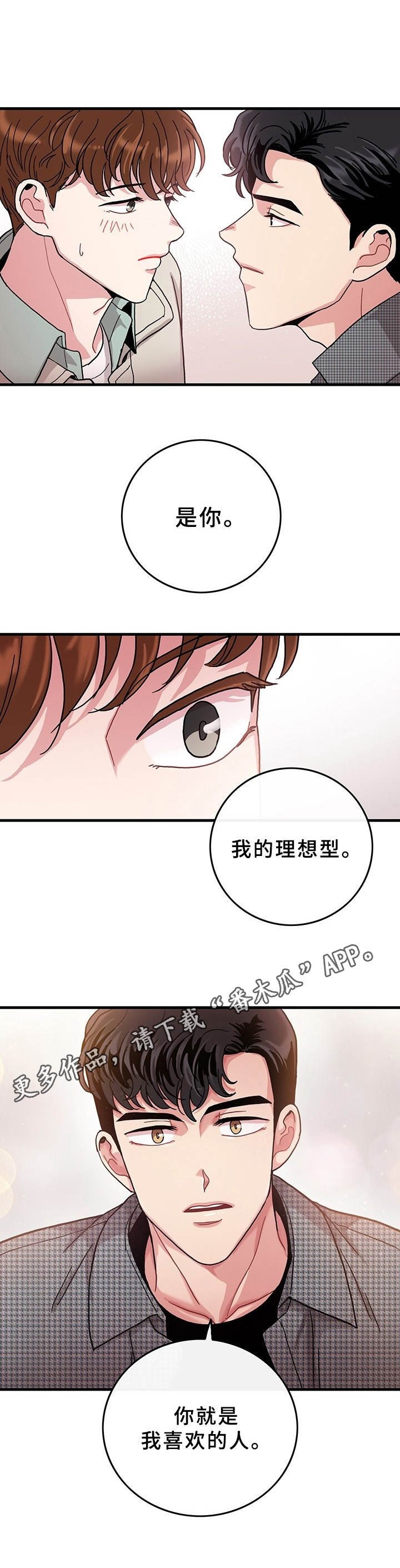 第11章：理想型