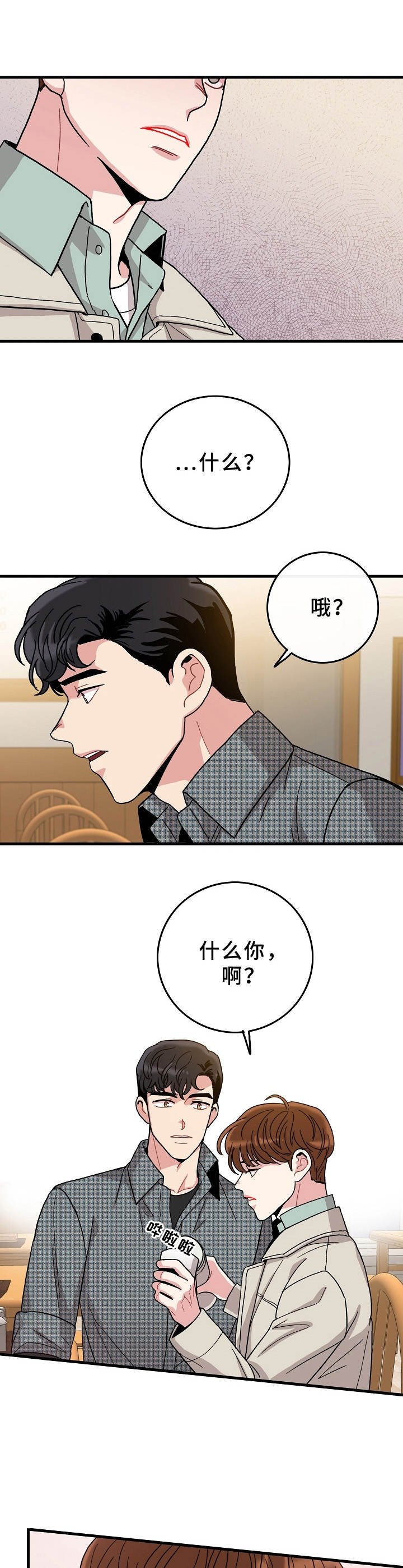 第11章：理想型
