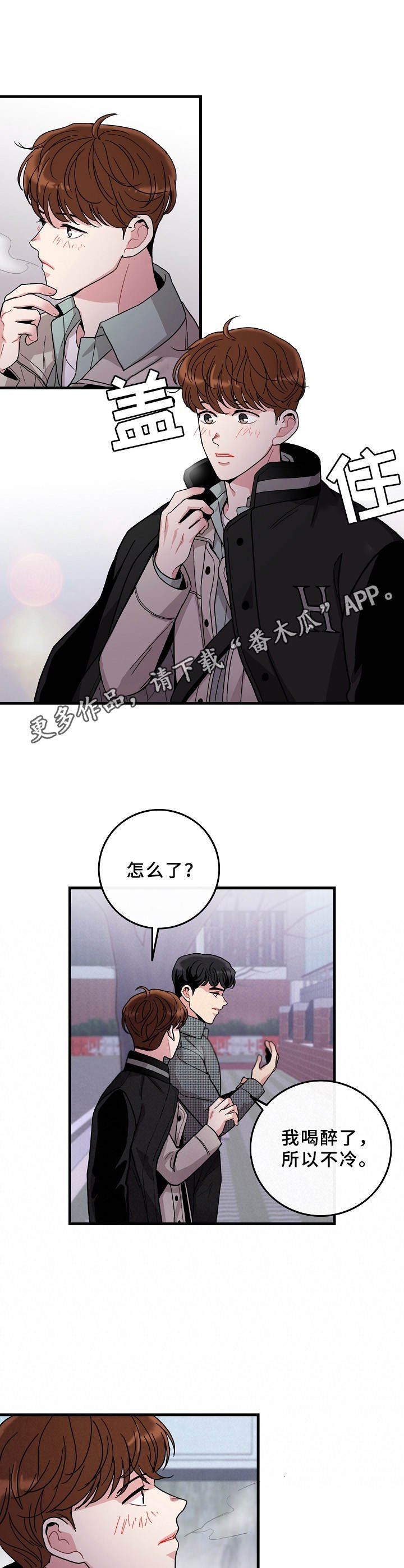 第11章：理想型