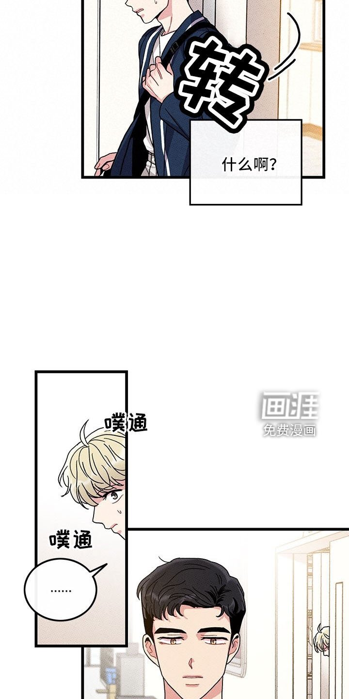 第71章：【第二季】变淡了