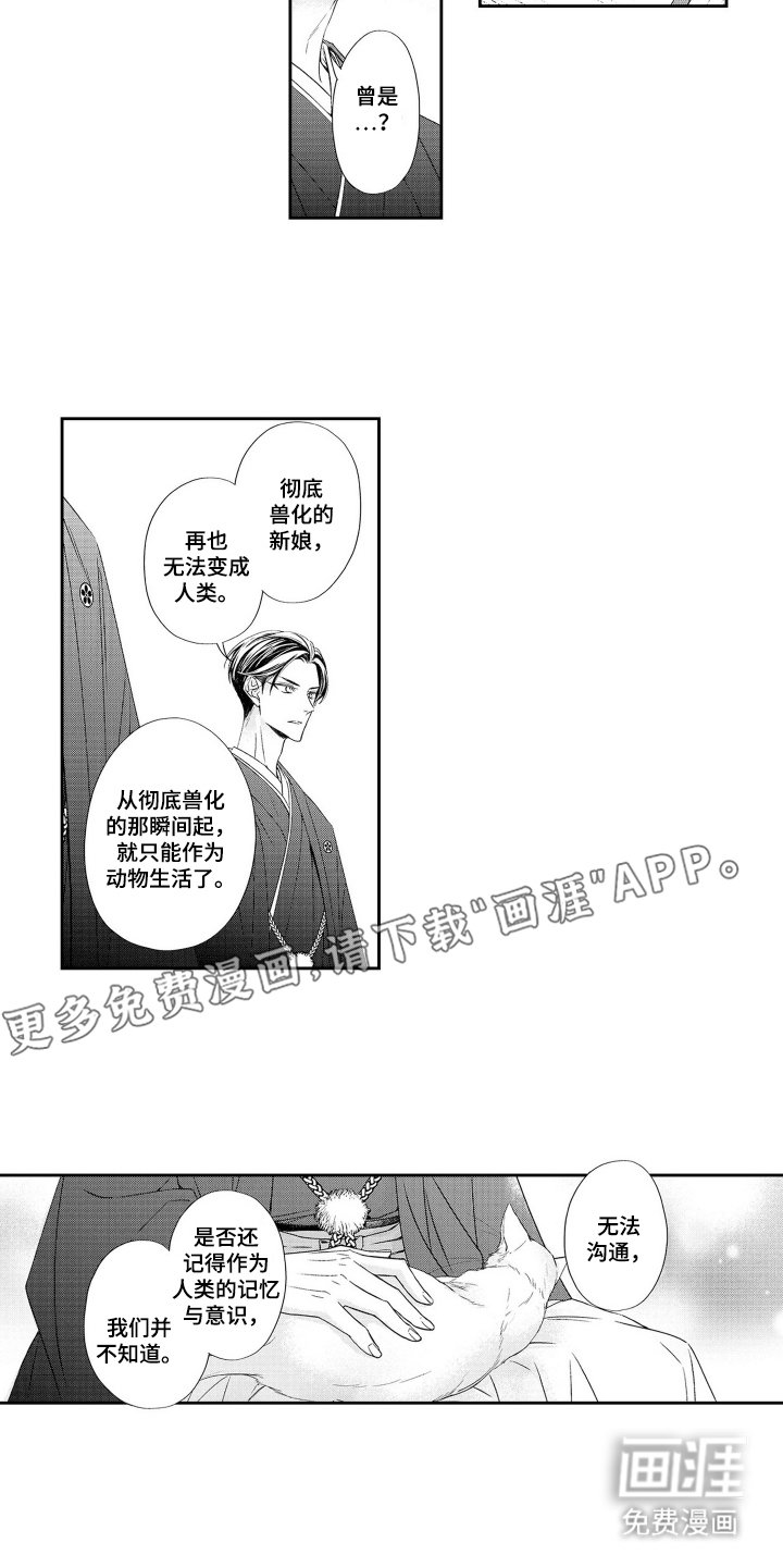 第18章：新娘会议