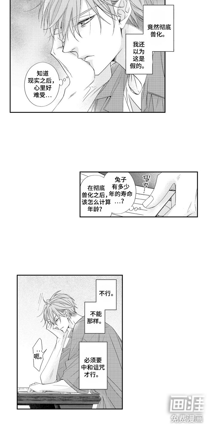 第18章：新娘会议