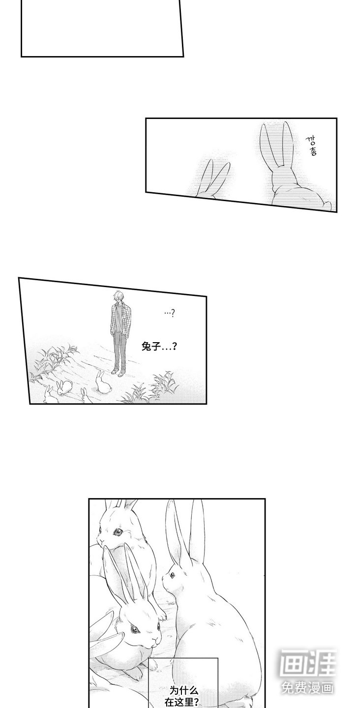 第2章：奇怪的梦