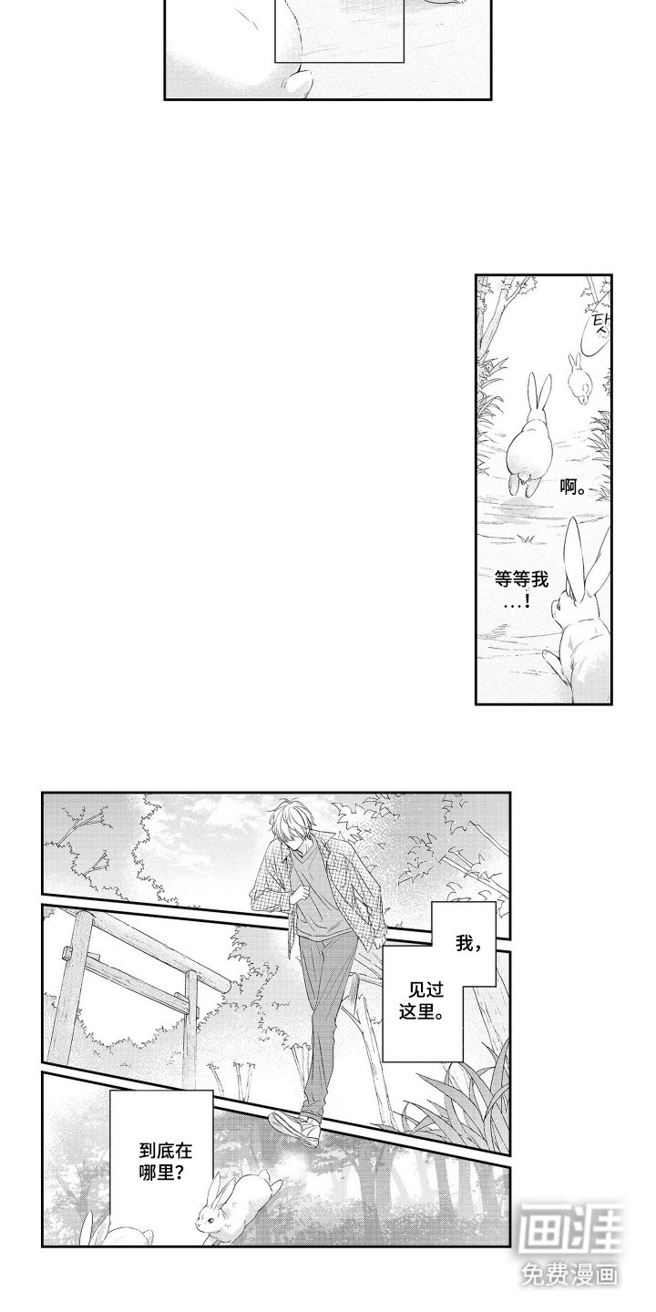 第2章：奇怪的梦