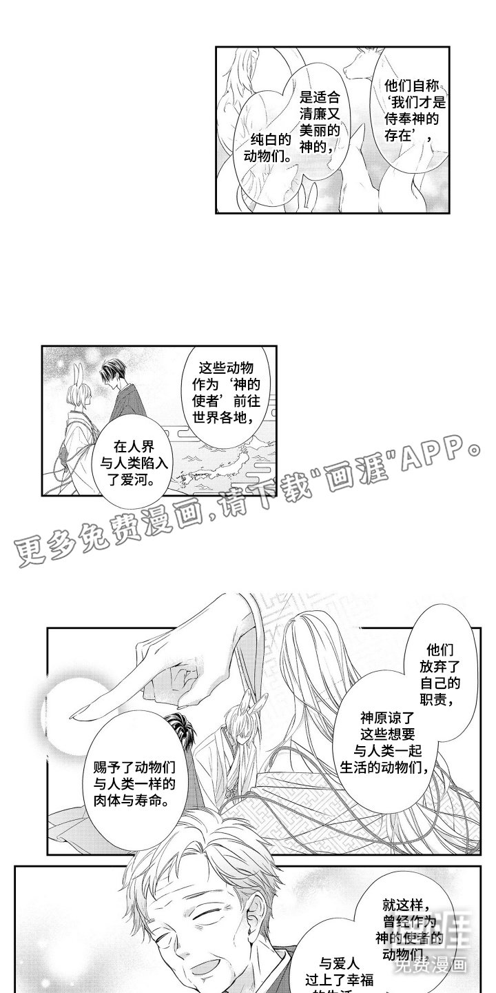 第4章：兔子