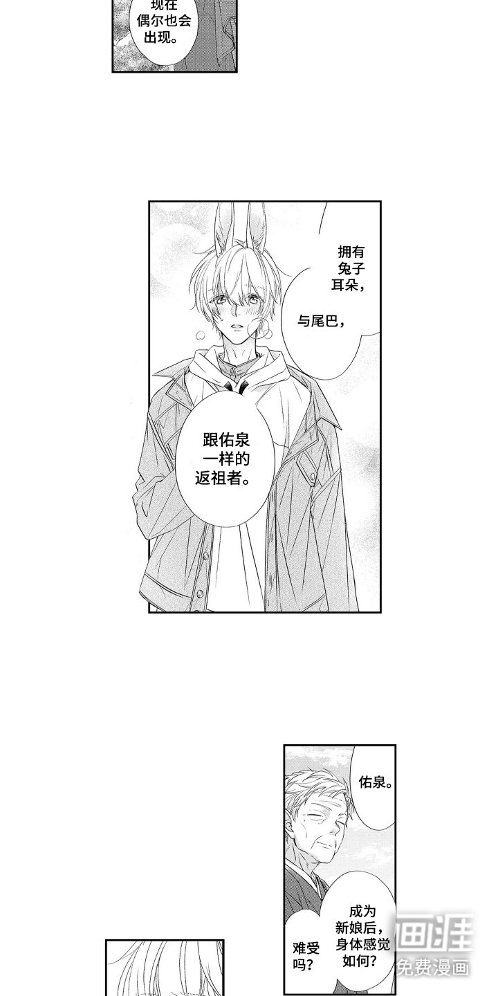 第4章：兔子