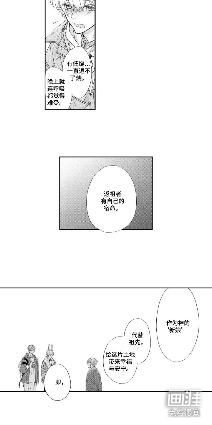 第4章：兔子