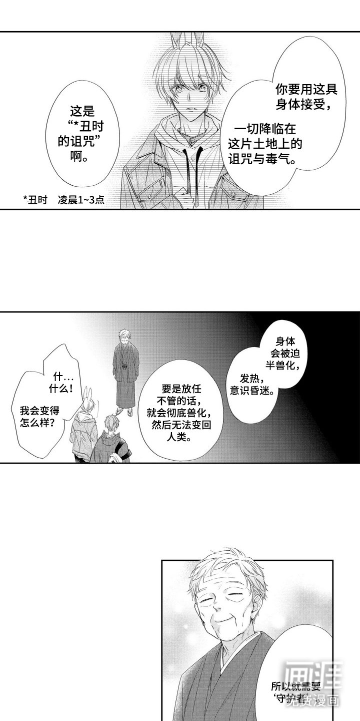 第4章：兔子