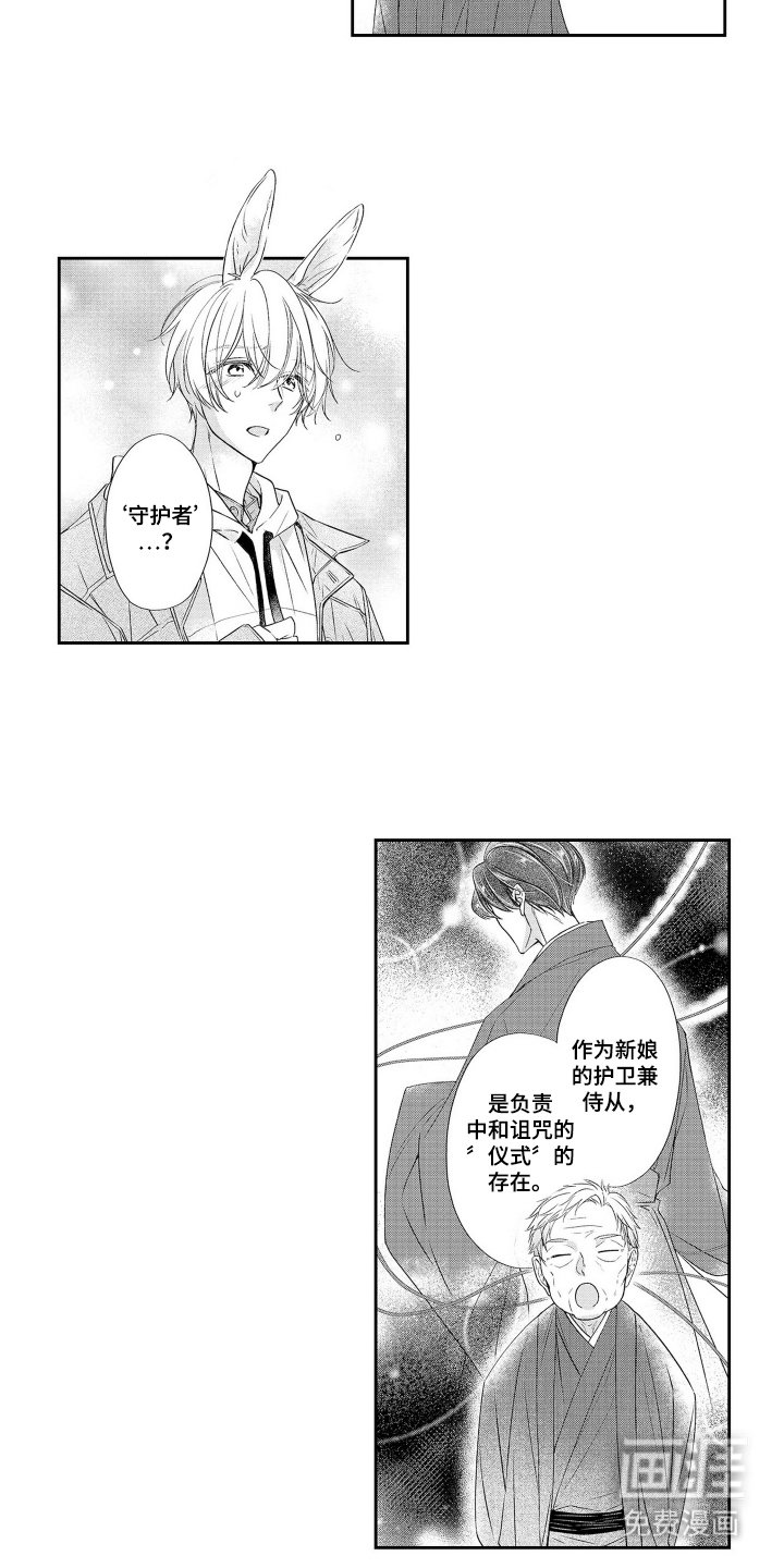 第4章：兔子
