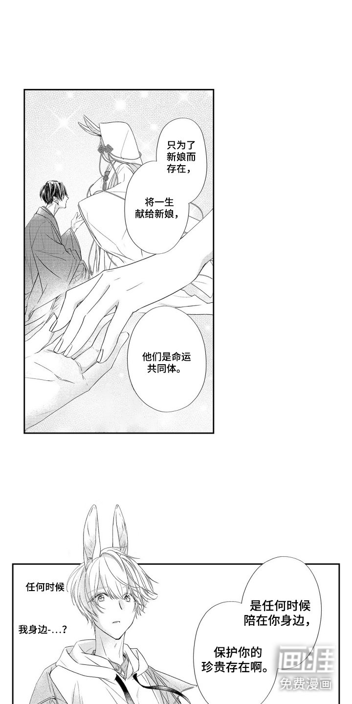 第4章：兔子