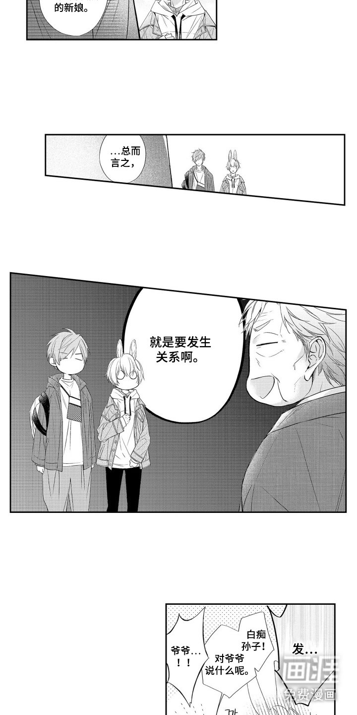 第4章：兔子