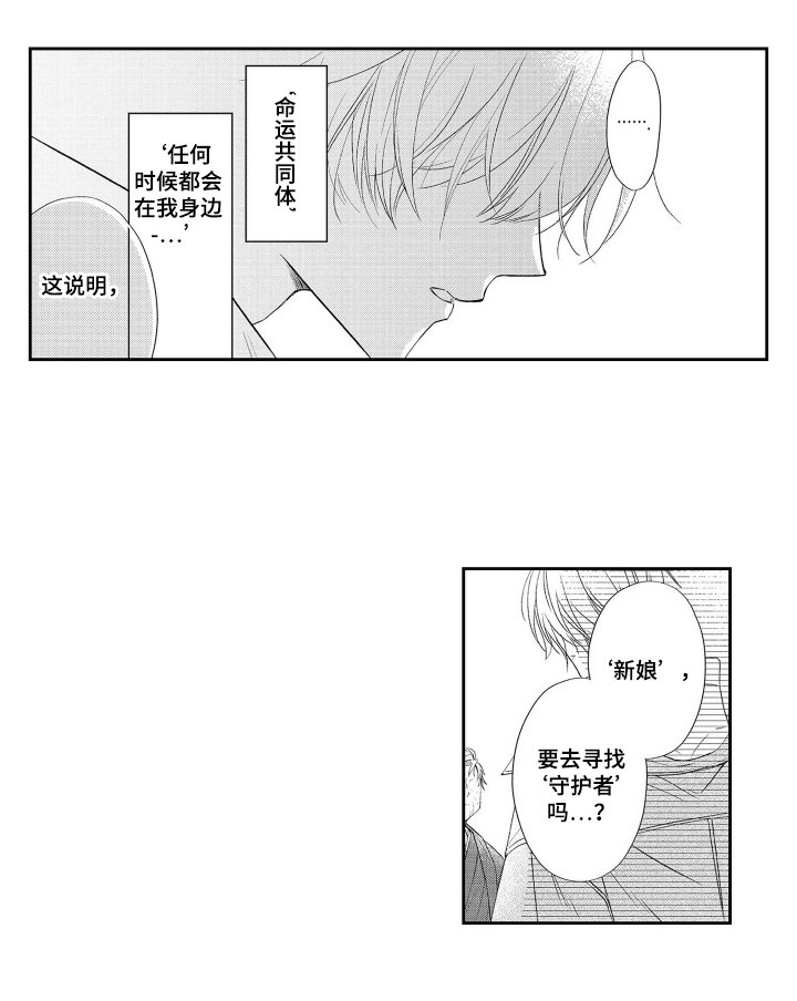 第4章：兔子