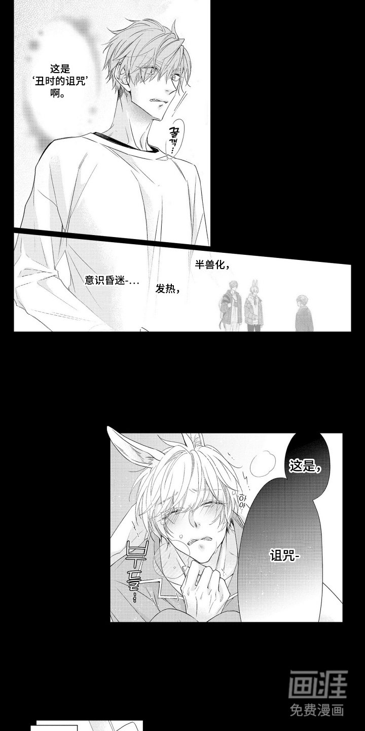 第6章：诅咒
