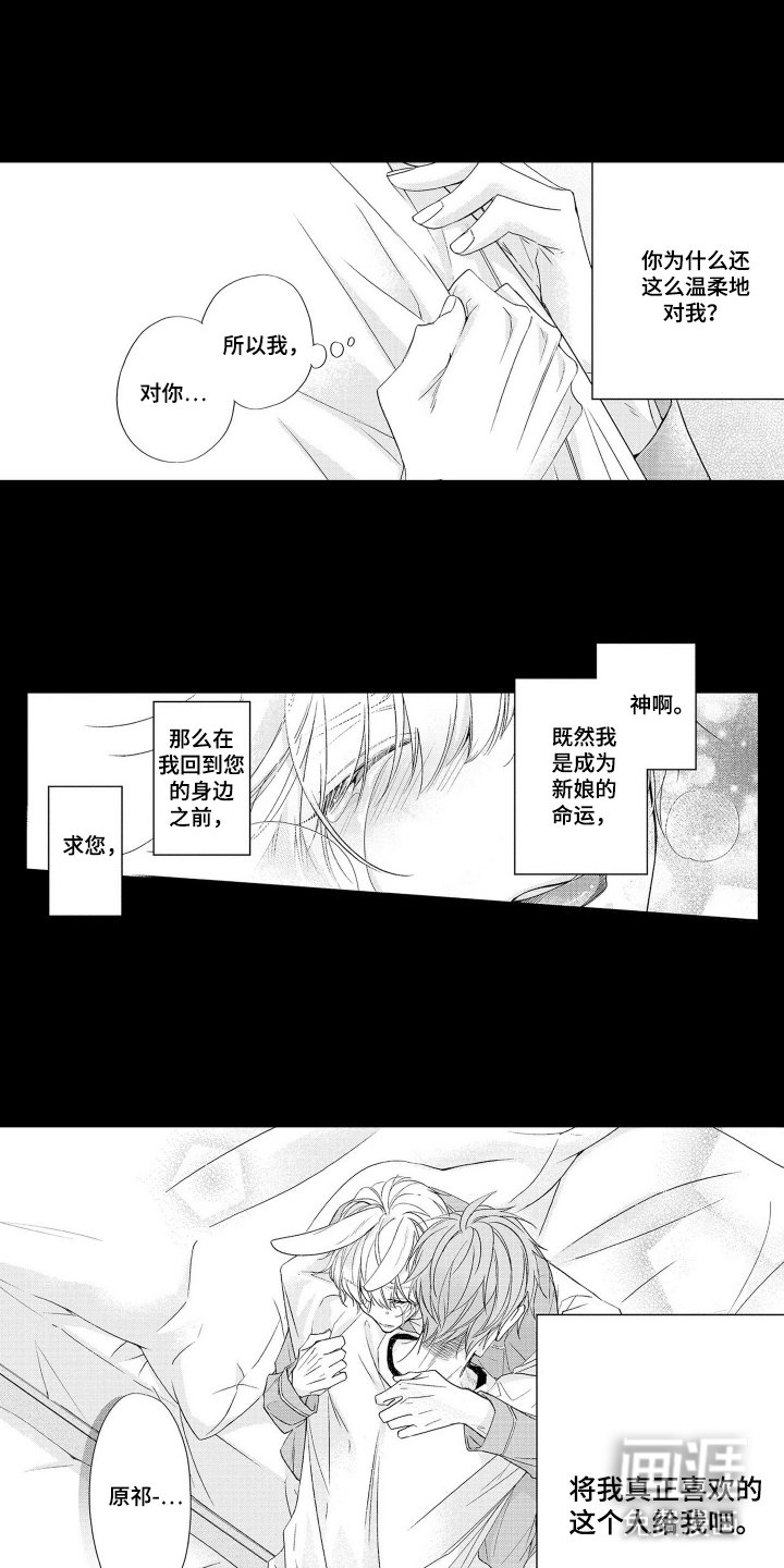 第6章：诅咒